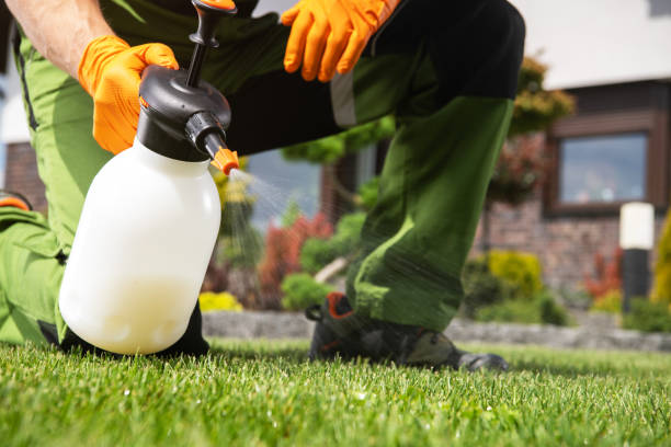 Best Pest Control for Restaurants  in Highland, UT