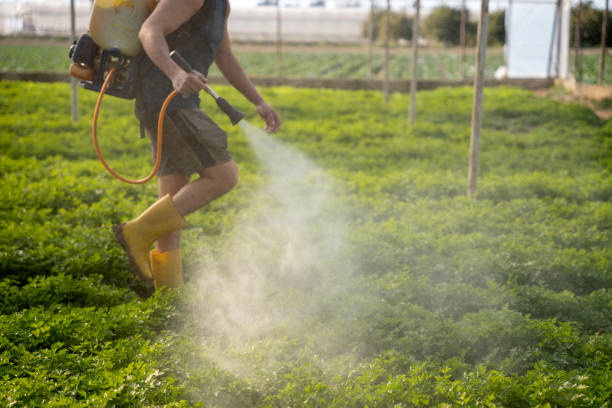 Best Best Pest Control Companies  in Highland, UT