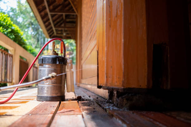 Wasp Removal Services in Highland, UT