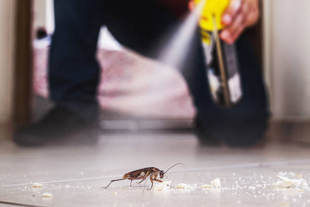 Best Emergency Pest Control  in Highland, UT