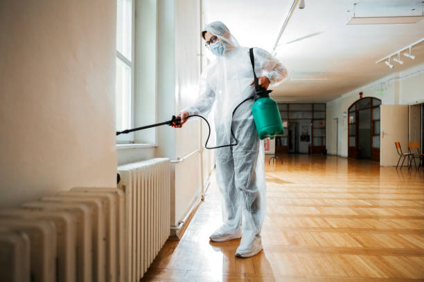 Flea Control Services in Highland, UT