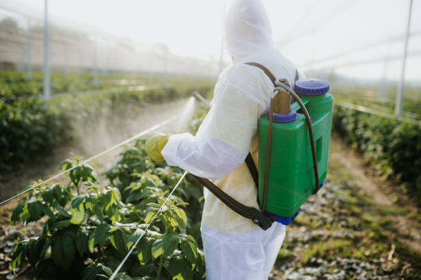 Best Best Pest Control Companies  in Highland, UT